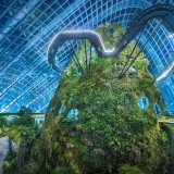 CloudForest_EN-US9578926154_1920x1080