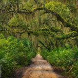 CumberlandIsland_EN-US10182990410_1920x1080