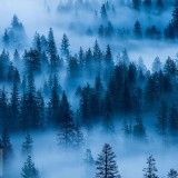 YosemiteFog_EN-US8423699903_1920x1080