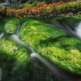 AlgaeRocks_EN-US13964069883_1920x1080