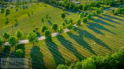 ArlingtonDrone_EN-US12840808174_1920x1080.jpg