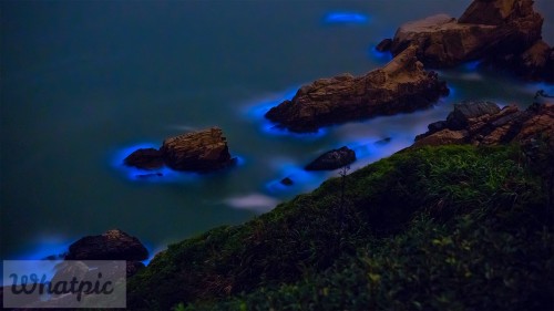 BlueTide_EN-US8292199681_1920x1080.jpg