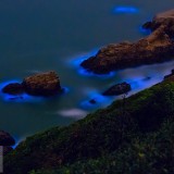 BlueTide_EN-US8292199681_1920x1080