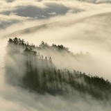 CoastalFog_EN-US7921291267_Flight