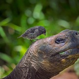 DarwinOrigin_EN-US14530151991_1920x1080