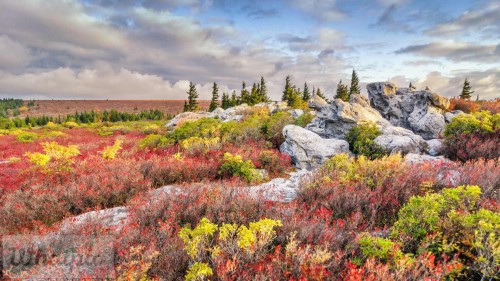 DollySods_EN-US9021857432_1920x1080.jpg