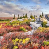 DollySods_EN-US9021857432_1920x1080