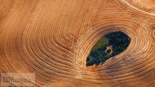 FarmlandLandscape_EN-US6661316442_1920x1080.jpg