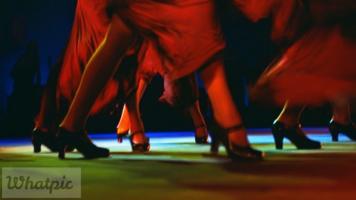 Flamenco_EN-US13472533209_1920x1080.jpg