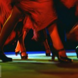 Flamenco_EN-US13472533209_1920x1080