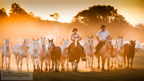 Gauchos_EN-US9437338004_1920x1080.jpg