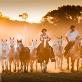 Gauchos_EN-US9437338004_1920x1080