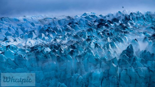 GlacierBay_EN-US14938982506_1920x1080.jpg
