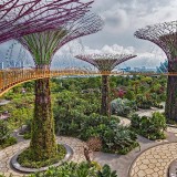 GroveandSkywalk_EN-US4583301548_1920x1080