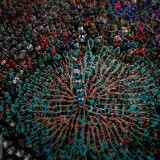 HumanTower_EN-US8948459298_1920x1080