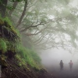 MountainDayJapan_EN-US8690491173_1920x1080