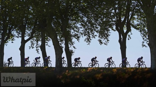 Peloton_EN-US7472605035_1920x1080.jpg