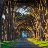 Point.Reyes_NightofNights_EN-US7573513110_1920x1080