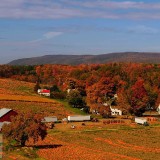 PumpkinPatch_EN-US15054547949_1920x1080
