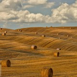 RoundBales_EN-US8640987726_1920x1080