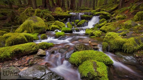 SolDucValley_EN-US10774187238_1920x1080.jpg