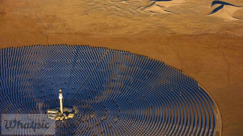 SolarFarm_EN-US5419977179_1920x1080.jpg