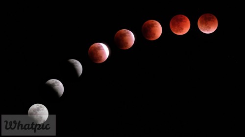 SuperBlueBloodMoon_EN-US11881086623_1920x1080.jpg