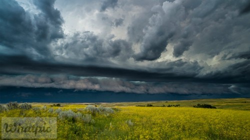 TRNPThunderstorm_EN-US4842762953_1920x1080.jpg