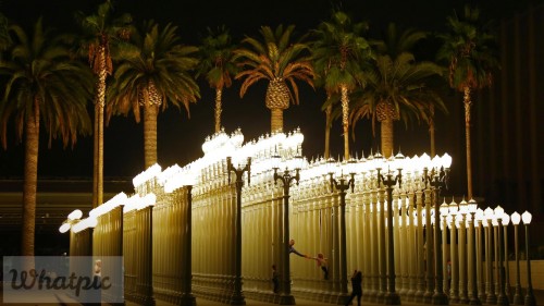 UrbanLight_EN-US6248743710_1920x1080.jpg