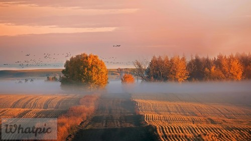 AlbertaThanksgiving_EN-US0590725789_1920x1080.jpg