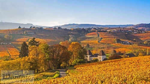 BeaujolaisRegion EN US7793380287 1920x1080