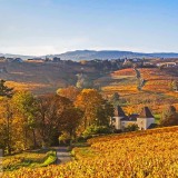 BeaujolaisRegion_EN-US7793380287_1920x1080
