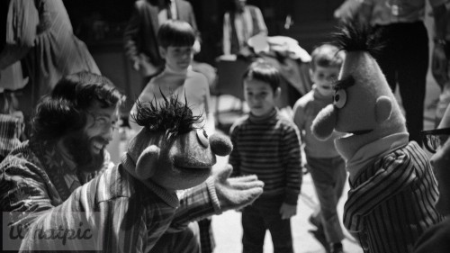 SesameStreet50 EN US5093557671 1920x1080