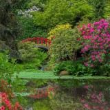 KubotaGarden_EN-US5986864816_1920x1080