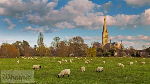 SalisburyCathedral_EN-US5389036397_1920x1080.jpg