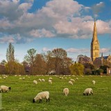 SalisburyCathedral_EN-US5389036397_1920x1080