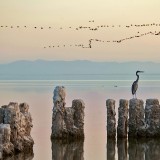 SaltonSea_EN-US9699729653_1920x1080