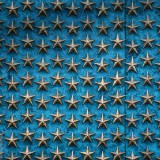 FreedomWall_EN-US2277219831_1920x1080