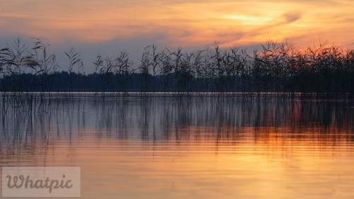 WaterRipples_FF_N_425392_HD_EN-US86977449.jpg
