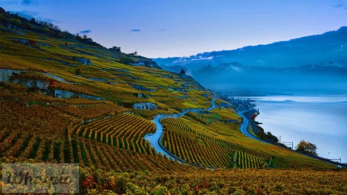 Lavaux_EN-US2058068352_1920x1080.jpg