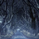 SpookyHedges_FF_1920x1080_HD_EN-US11887411