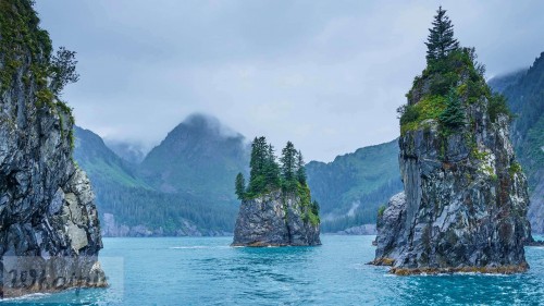 PorcupineBay_EN-US9104476264_1920x1080.jpg