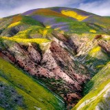 CarrizoPlain_EN-US7034817036_1920x1080